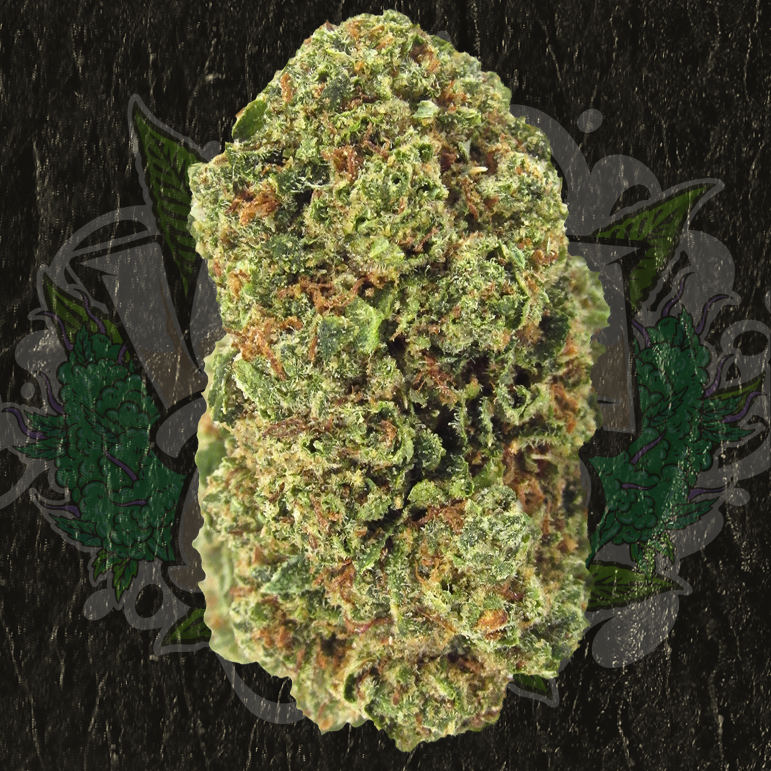 Close-up of Gelati cannabis flower showing dense, frosty buds with purple tones, orange pistils, and heavy trichome coverage—known for its creamy cookie flavor and balanced hybrid effects.