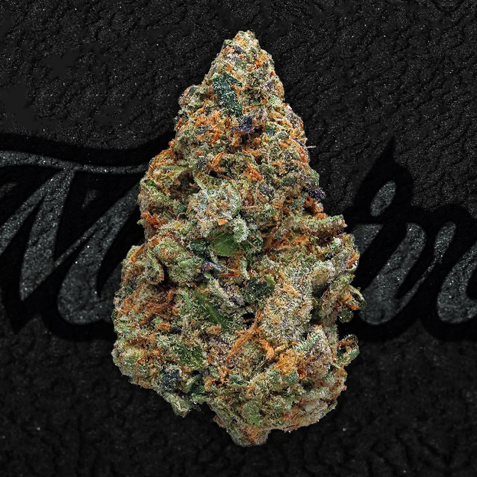 Monster Cookies strain cannabis flower showing deep purple hues and frosty trichomes with vibrant orange pistils