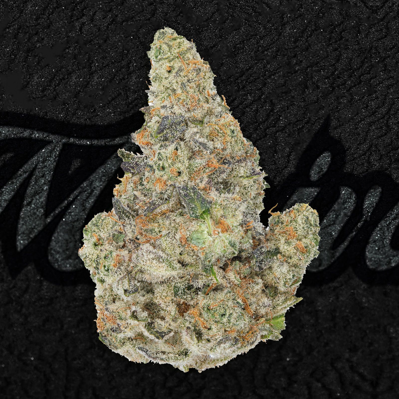 Close-up of Snowcap cannabis flower showing frosty white trichomes, light green buds, and orange hairs—known for its lemon-pine aroma and energizing sativa-dominant effects.